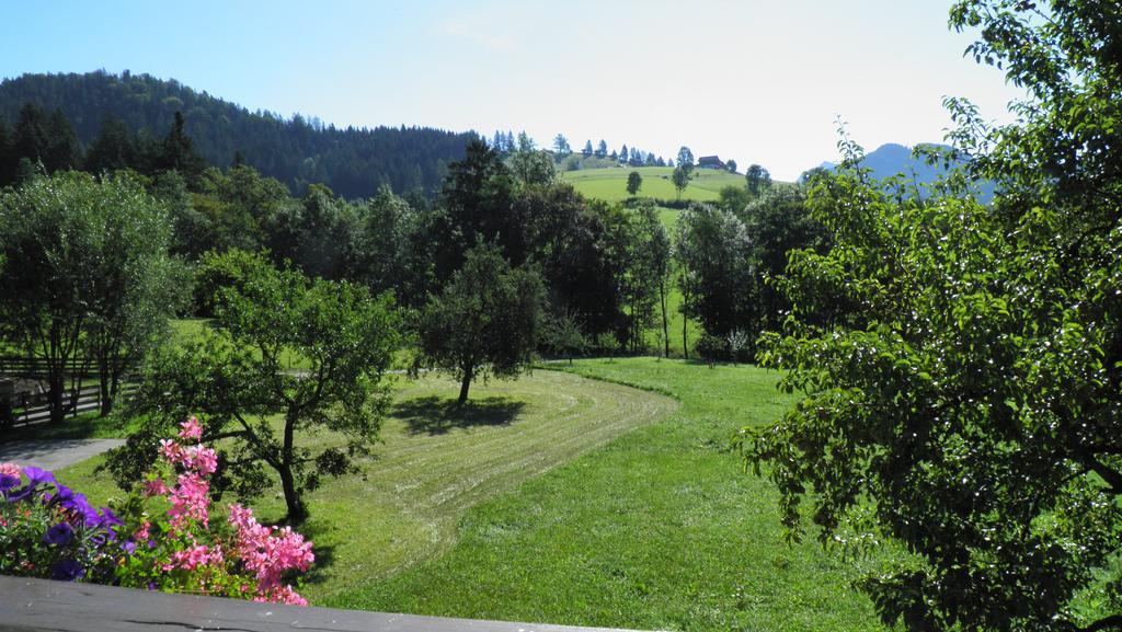 Vorderwimmhof Hotel Abtenau Luaran gambar